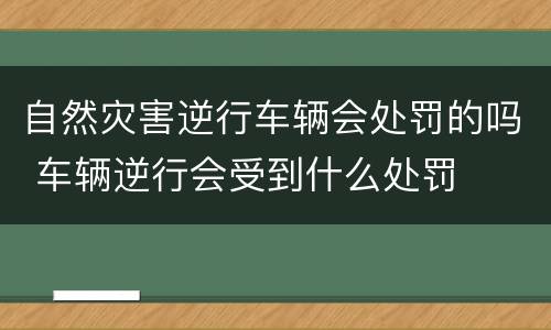 自然灾害逆行车辆会处罚的吗 车辆逆行会受到什么处罚
