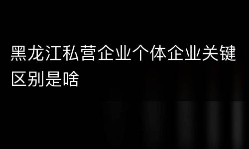 黑龙江私营企业个体企业关键区别是啥