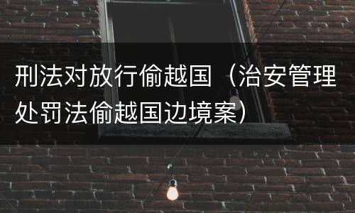 刑法对放行偷越国（治安管理处罚法偷越国边境案）