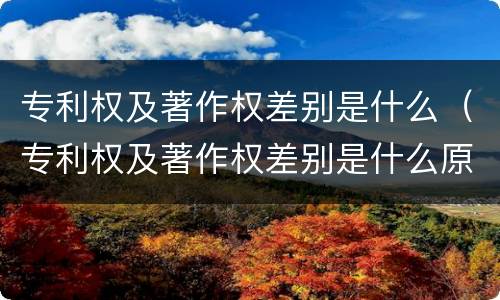 专利权及著作权差别是什么（专利权及著作权差别是什么原因）