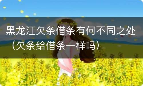 黑龙江欠条借条有何不同之处（欠条给借条一样吗）