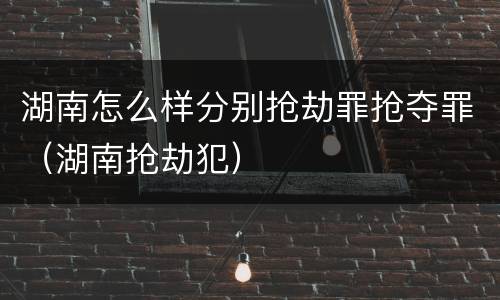 湖南怎么样分别抢劫罪抢夺罪（湖南抢劫犯）
