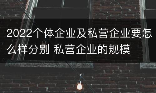 2022个体企业及私营企业要怎么样分别 私营企业的规模