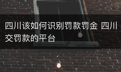 四川该如何识别罚款罚金 四川交罚款的平台