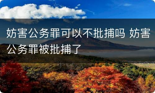 妨害公务罪可以不批捕吗 妨害公务罪被批捕了