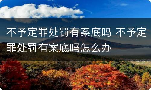 不予定罪处罚有案底吗 不予定罪处罚有案底吗怎么办