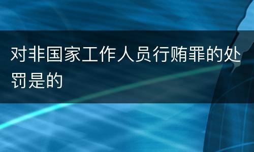 对非国家工作人员行贿罪的处罚是的