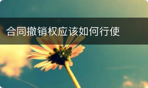 合同撤销权应该如何行使