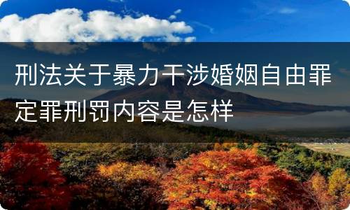 刑法关于暴力干涉婚姻自由罪定罪刑罚内容是怎样