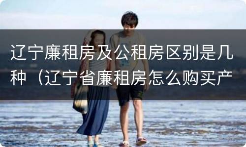 辽宁廉租房及公租房区别是几种(辽宁省廉租房怎么购买产权)