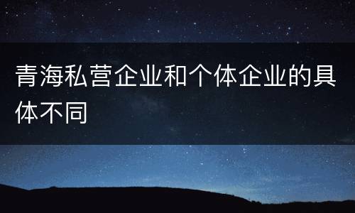 青海私营企业和个体企业的具体不同