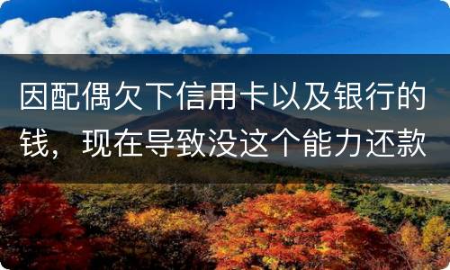 因配偶欠下信用卡以及银行的钱，现在导致没这个能力还款，该怎么做