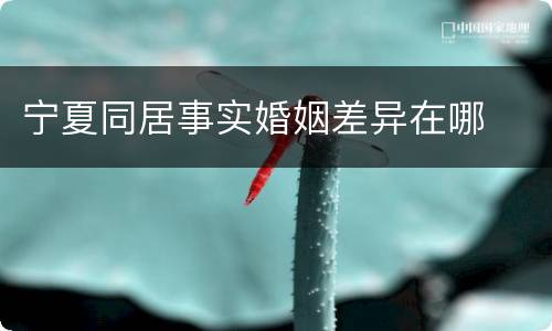 宁夏同居事实婚姻差异在哪
