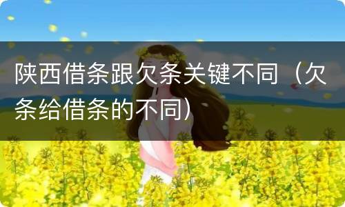 陕西借条跟欠条关键不同（欠条给借条的不同）