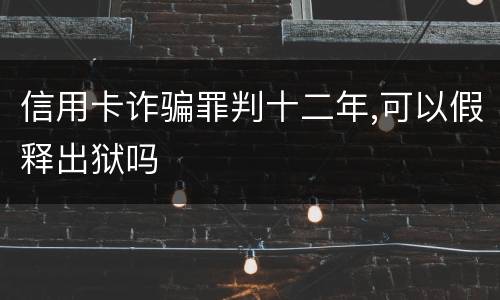 信用卡诈骗罪判十二年,可以假释出狱吗