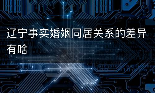 辽宁事实婚姻同居关系的差异有啥