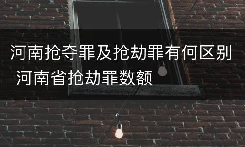 河南抢夺罪及抢劫罪有何区别 河南省抢劫罪数额