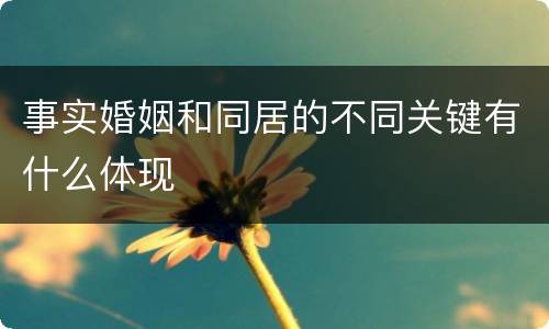 事实婚姻和同居的不同关键有什么体现