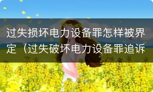 过失损坏电力设备罪怎样被界定（过失破坏电力设备罪追诉标准）