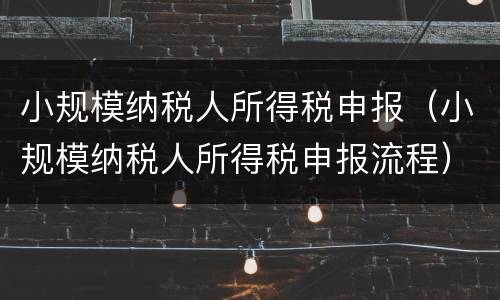 小规模纳税人所得税申报（小规模纳税人所得税申报流程）