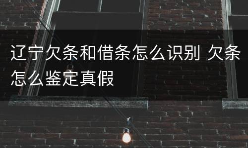 辽宁欠条和借条怎么识别 欠条怎么鉴定真假