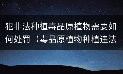 犯非法种植毒品原植物需要如何处罚（毒品原植物种植违法犯罪行为）
