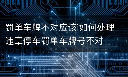 罚单车牌不对应该i如何处理 违章停车罚单车牌号不对