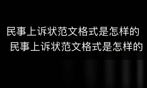 民事上诉状范文格式是怎样的 民事上诉状范文格式是怎样的样式