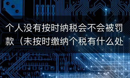 个人没有按时纳税会不会被罚款（未按时缴纳个税有什么处罚）
