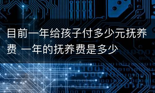 目前一年给孩子付多少元抚养费 一年的抚养费是多少
