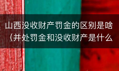山西没收财产罚金的区别是啥（并处罚金和没收财产是什么意思）