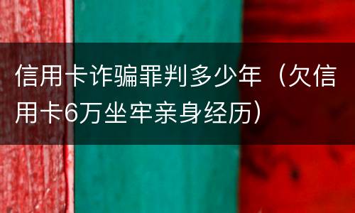 信用卡诈骗罪判多少年（欠信用卡6万坐牢亲身经历）
