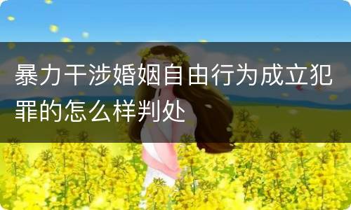 暴力干涉婚姻自由行为成立犯罪的怎么样判处