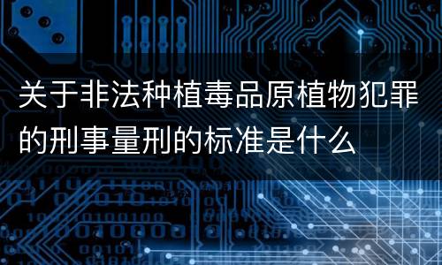 关于非法种植毒品原植物犯罪的刑事量刑的标准是什么