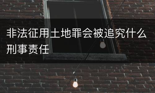非法征用土地罪会被追究什么刑事责任