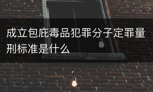 成立包庇毒品犯罪分子定罪量刑标准是什么