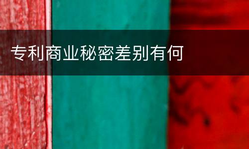 专利商业秘密差别有何