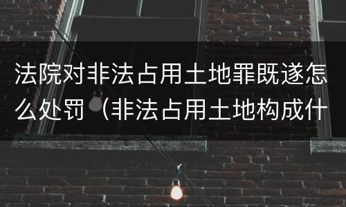 法院对非法占用土地罪既遂怎么处罚（非法占用土地构成什么罪）
