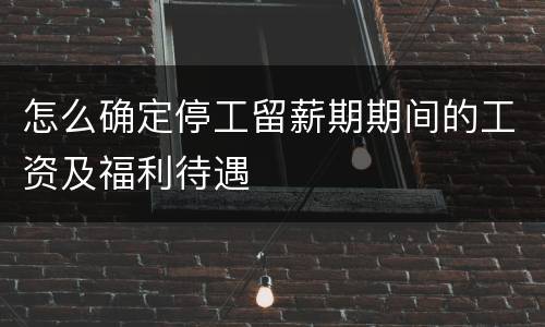怎么确定停工留薪期期间的工资及福利待遇