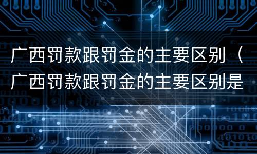 广西罚款跟罚金的主要区别（广西罚款跟罚金的主要区别是什么）