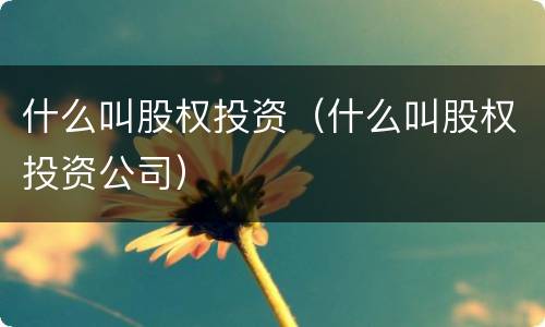 什么叫股权投资（什么叫股权投资公司）