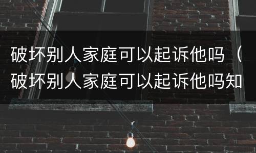 破坏别人家庭可以起诉他吗（破坏别人家庭可以起诉他吗知乎）