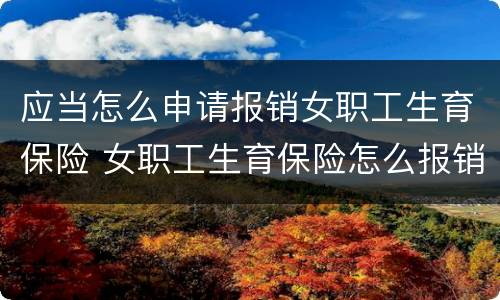 应当怎么申请报销女职工生育保险 女职工生育保险怎么报销,需要什么资料