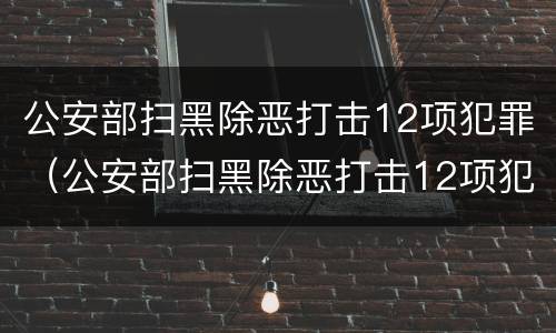 公安部扫黑除恶打击12项犯罪（公安部扫黑除恶打击12项犯罪活动）