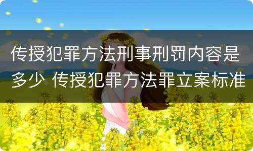传授犯罪方法刑事刑罚内容是多少 传授犯罪方法罪立案标准