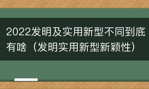 2022发明及实用新型不同到底有啥（发明实用新型新颖性）