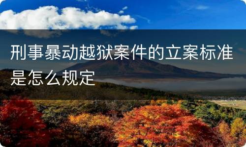 刑事暴动越狱案件的立案标准是怎么规定