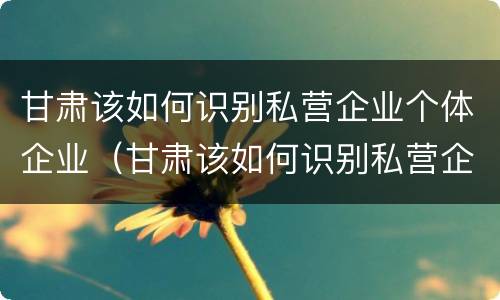 甘肃该如何识别私营企业个体企业（甘肃该如何识别私营企业个体企业资质）