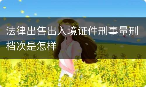 法律出售出入境证件刑事量刑档次是怎样