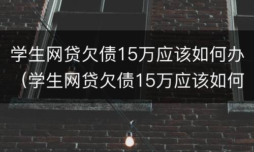 学生网贷欠债15万应该如何办（学生网贷欠债15万应该如何办理）